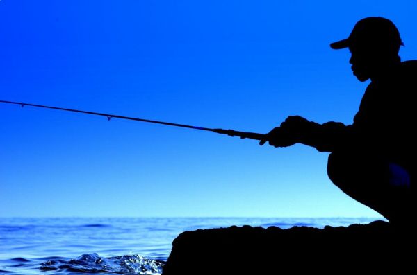 Blue Angler