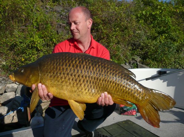 Pellet Zfish truskawka 20mm 1000g