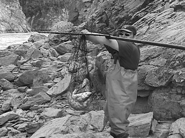 Kombinezon Graff rozm. 43