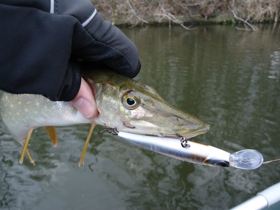 Wobler Strike Pro Jointed 4cm perłowy